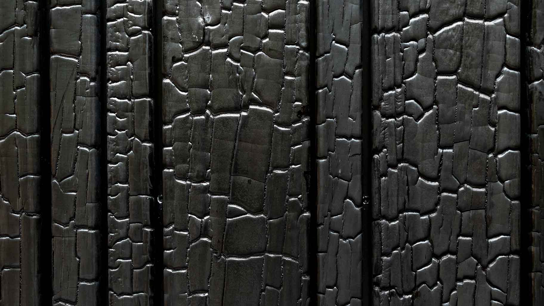 Holz-Garagentor aus Shou Sugi Ban, veredelt durch die traditionelle japanische Technik des Verkohlens